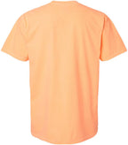 Comfort Colors 1717 | Garment-Dyed Heavyweight T-Shirt